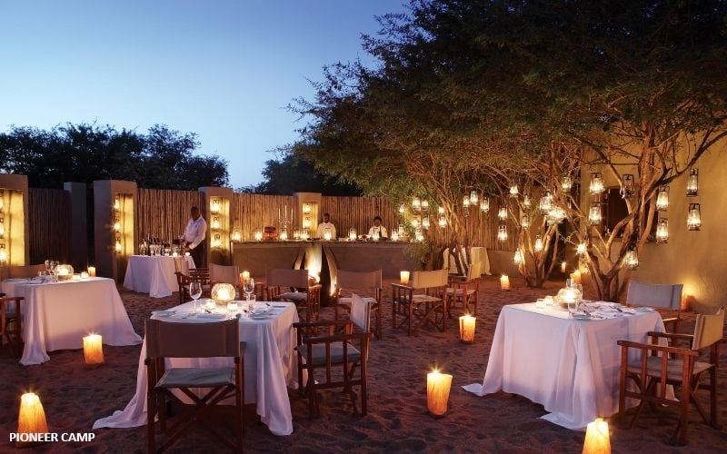 Londolozi Pioneer Camp 13